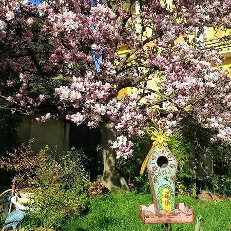 Lucca Appartamento 